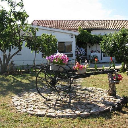 El Condado Casa Rural Fuentes de Onoro Dış mekan fotoğraf